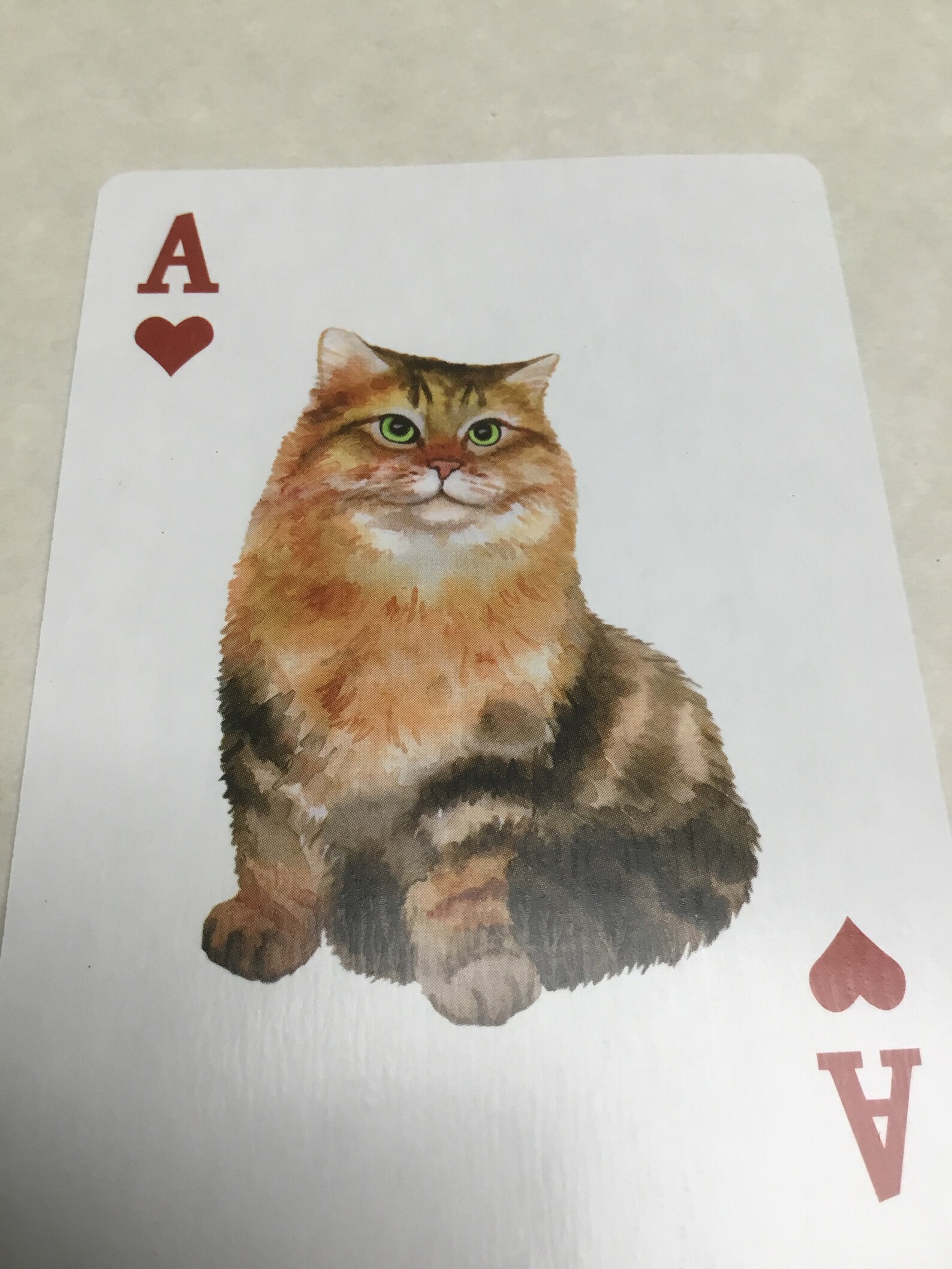 NOS Vintage Playing Cards Cats Etsy