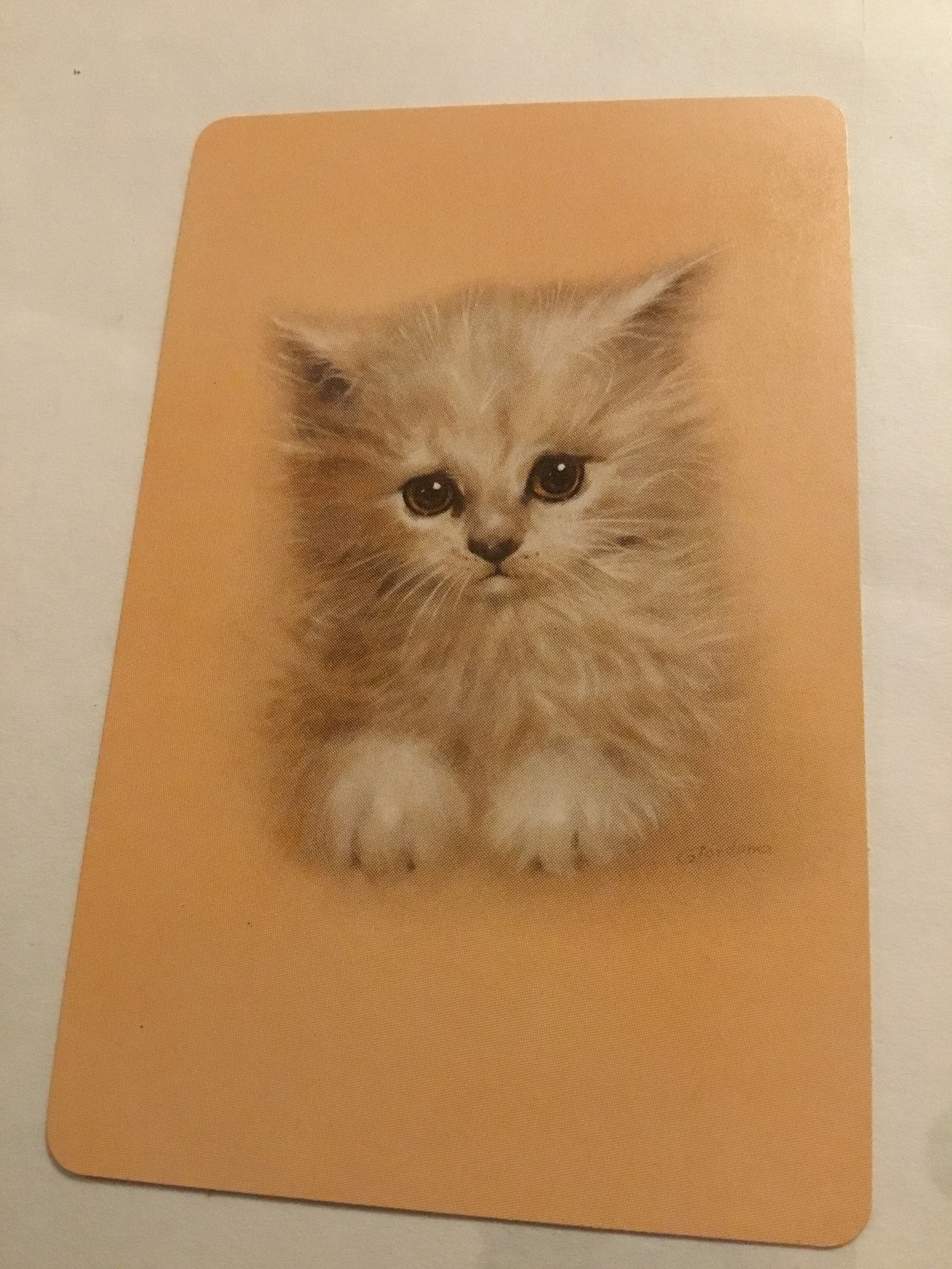 NOS Vintage playing cards white cat blue eyes