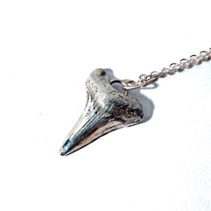 Otodus Shark Tooth Necklace