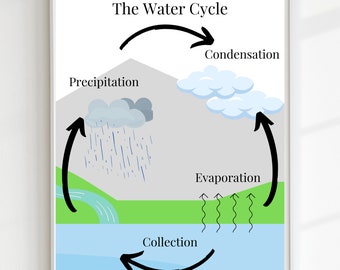 The Water Cycle Poster,Educational Print, Printable Wall Art, Montessori Classroom, Homeschool Decor, Classroom Decor, DIGITAL DOWNLOAD