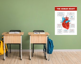The Human Heart Poster, Anatomy Poster, Classroom Poster, organs of the body, Bodily Systems poster, DIGITAL DOWNLOAD