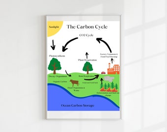 The Carbon Cycle Poster, Educational Print, Printable Wall Art, Montessori Classroom, Homeschool Decor, Classroom Decor, DIGITAL DOWNLOAD