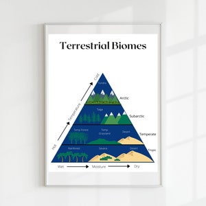 Terrestrische Biome Poster, pädagogische Druck, druckbare Wandkunst, Montessori-Klassenzimmer, Homeschool-Dekor, Klassenzimmer-Dekor, DIGITAL DOWNLOAD