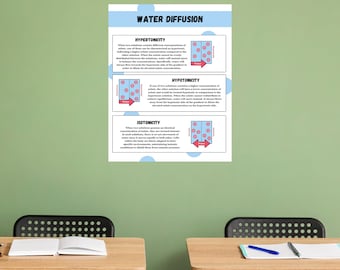 Water Diffusion Poster,Educational Print, Hypo and Hypertonic Water, Biology Poster Montessori, Homeschool, Classroom, DIGITAL DOWNLOAD