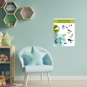 Cartel del ciclo de vida de la rana, cartel de renacuajo, cartel de biología, Montessori, decoración de la escuela en el hogar, decoración del aula, DESCARGA DIGITAL
