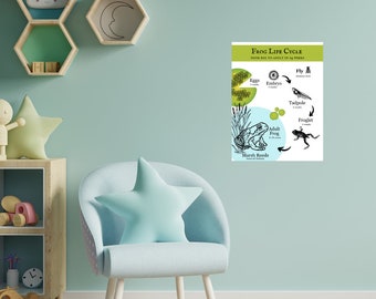 Frog Life Cycle Poster, Tadpole Poster, Biology Poster, Montessori, Homeschool Decor, Classroom Decor, DIGITAL DOWNLOAD