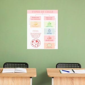 Cell Types Poster, Biology Poster, Educational Print, Montessori Classroom, Homeschool Poster, Classroom Decor, DIGITAL DOWNLOAD