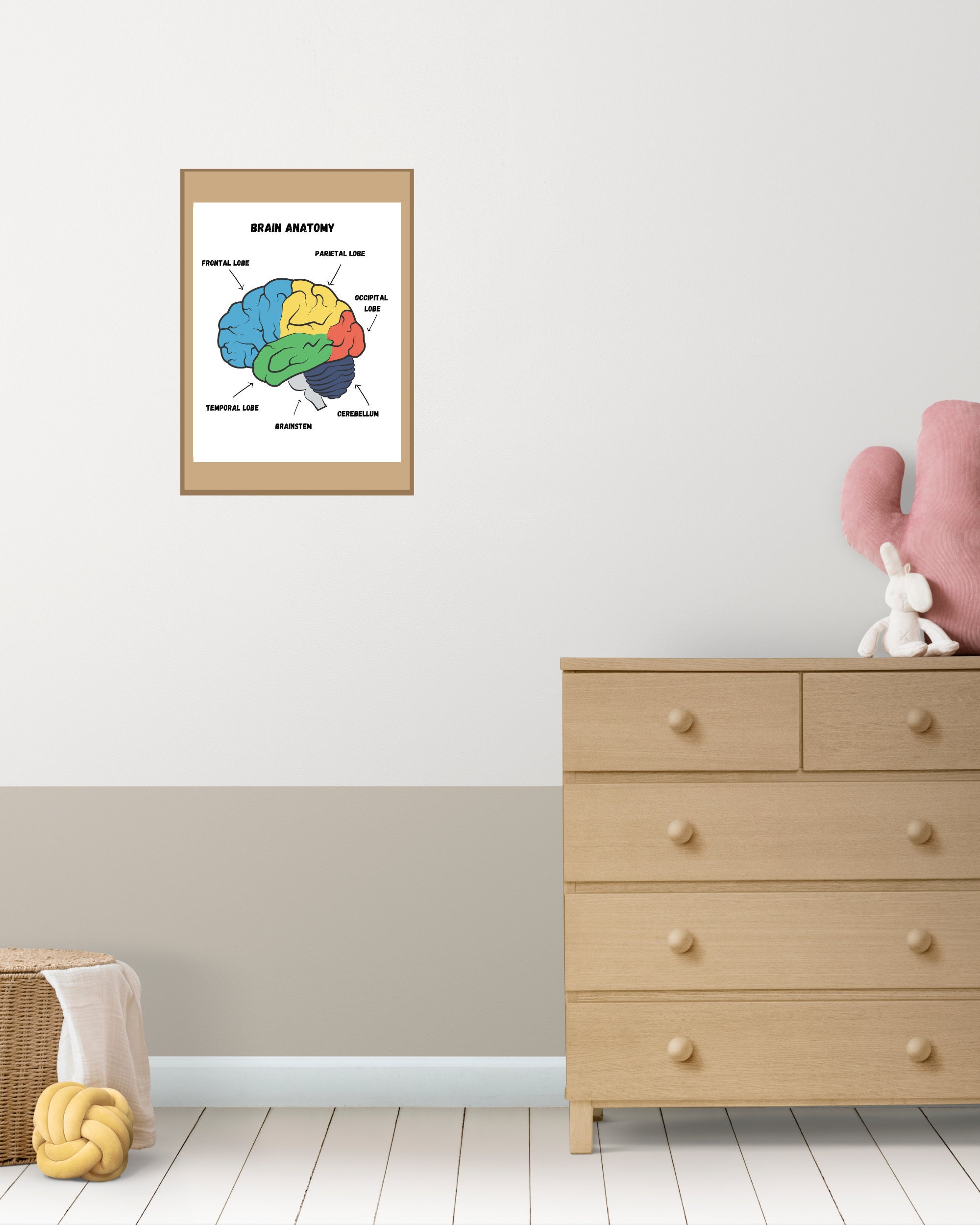 Brain Anatomy Poster,educational Print, Classroom Poster, Anatomy Print ...