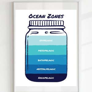 Ocean Zones Poster,Educational Print, Printable Wall Art, Montessori, Homeschool Decor, Classroom Decor, DIGITAL DOWNLOAD