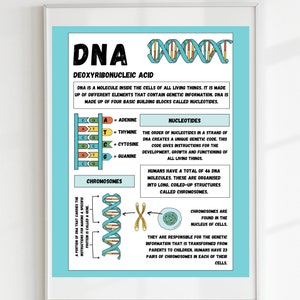DNA Biologie Poster, Bildung Druck, Klassenzimmer Kunst Poster, DIGITAL DOWNLOAD