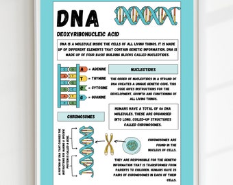 DNA Biology poster, Education print, Classroom Art Poster, DIGITAL DOWNLOAD