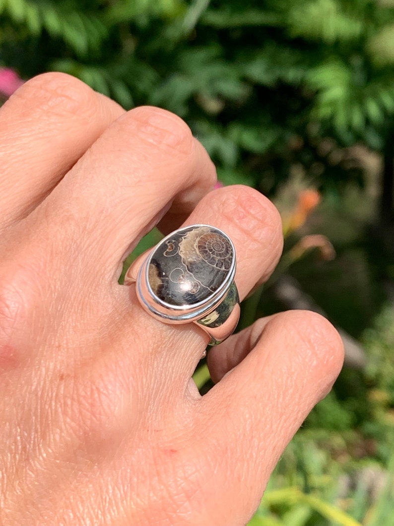 Puede incluir: Un anillo de plata con una piedra preciosa de forma ovalada. La piedra preciosa es de color marr&oacute;n oscuro con un patr&oacute;n de espiral. El anillo est&aacute; engastado en una banda de plata con un acabado liso.