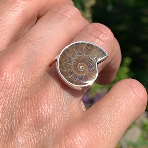 May include: A silver ring with a brown ammonite fossil set in the center. The ring is worn on a person's finger.