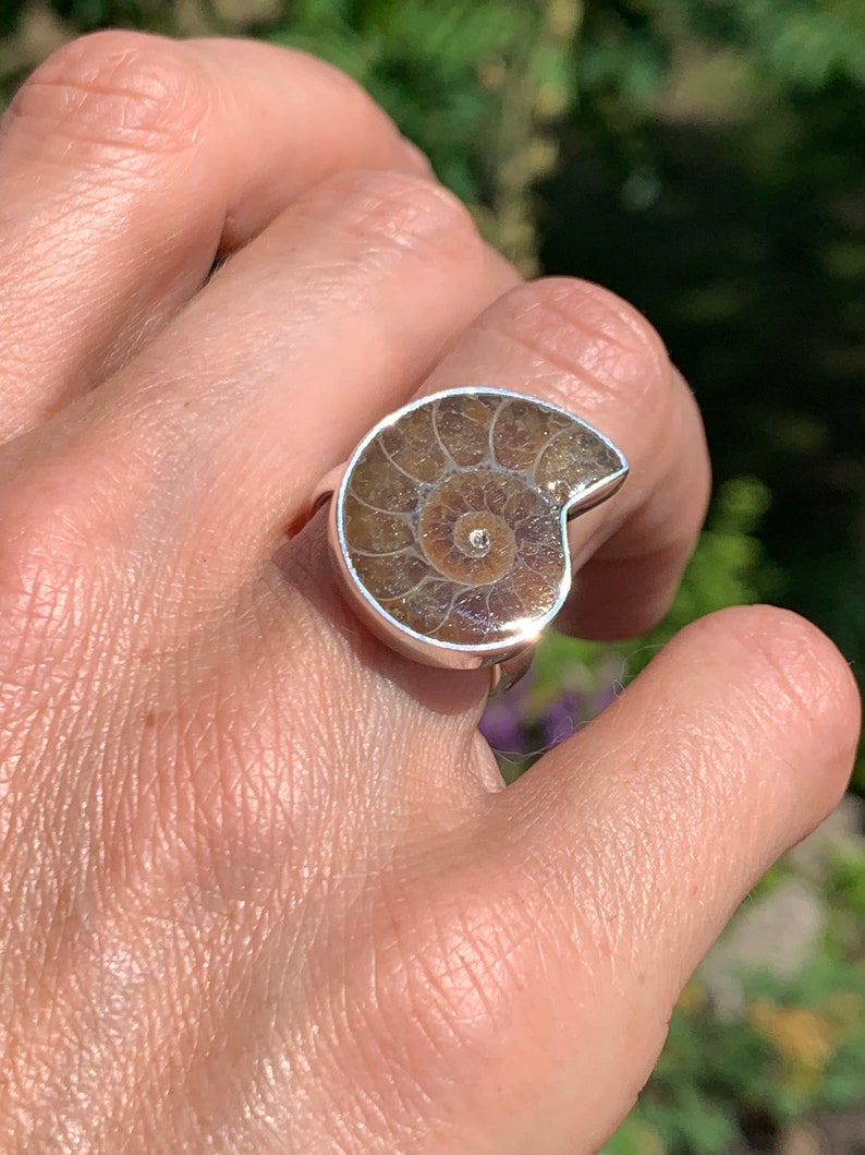 May include: A silver ring with a brown ammonite fossil set in the center. The ring is worn on a person's finger.