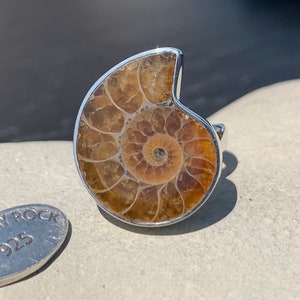May include: A silver ring with a fossilized ammonite set in the center. The ammonite is a light brown color with a spiral pattern. The ring is marked "JOHNNY ROCK 925" on the side.