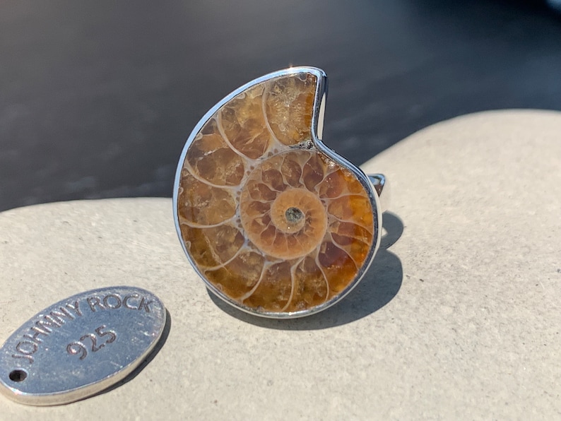 May include: A silver ring with a fossilized ammonite set in the center. The ammonite is a light brown color with a spiral pattern. The ring is marked "JOHNNY ROCK 925" on the side.