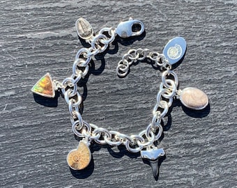 World Fossils Silver Charm Bracelet, Handmade in 925 Sterling Silver, Unusual Fossil Jewellery