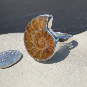 May include: A silver ring with a large ammonite fossil set in the center. The ring is on a gray surface with a small silver tag that says "Johnny Rock 925".