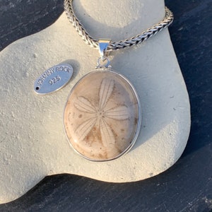 May include: A silver chain necklace with a pendant featuring a fossilized sand dollar. The pendant is oval-shaped and has a silver border. The tag attached to the chain reads "Johnny Rock 925".