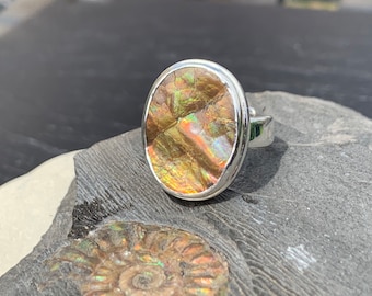 Anillo de amonita jurásica Juralite, hecho a mano en plata de ley 925, banda ajustable, joyería de piedras preciosas fósiles del Reino Unido