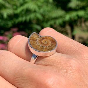 May include: A silver ring with a brown ammonite fossil set in the center. The ring is on a person's finger.