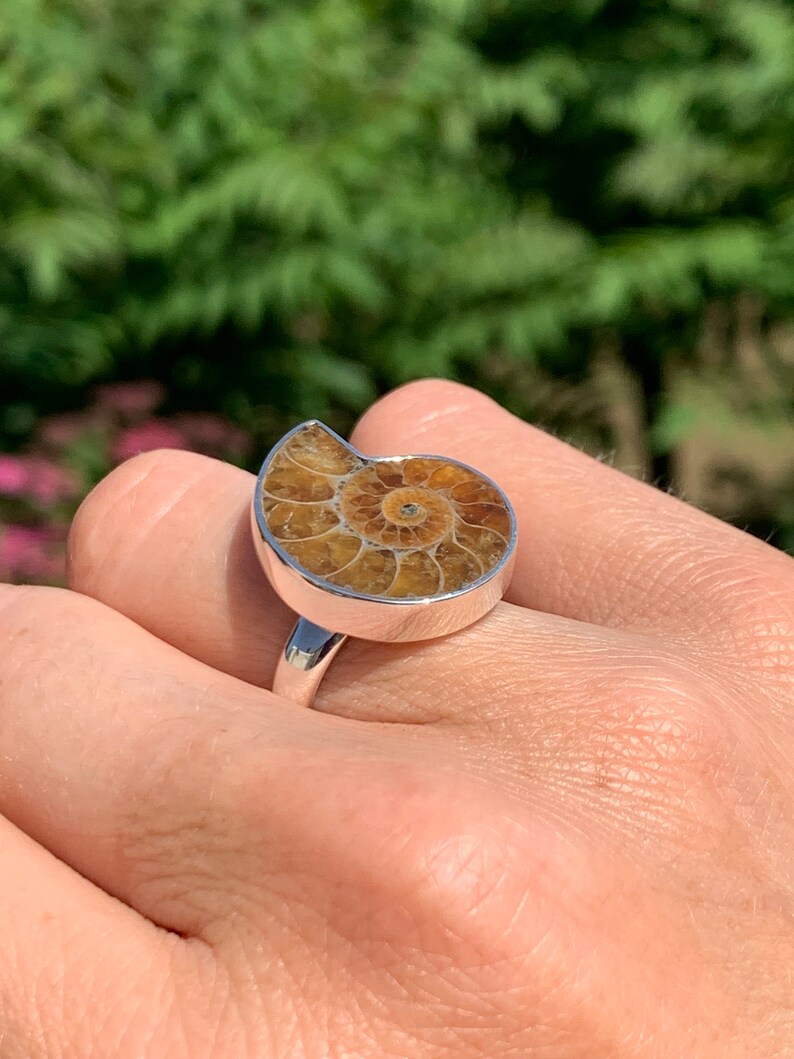 May include: A silver ring with a brown ammonite fossil set in the center. The ring is on a person's finger.