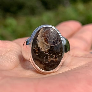 Puede incluir: Un anillo de plata con una piedra ovalada de amonita. La amonita es de color marr&oacute;n y negro con un patr&oacute;n en espiral.