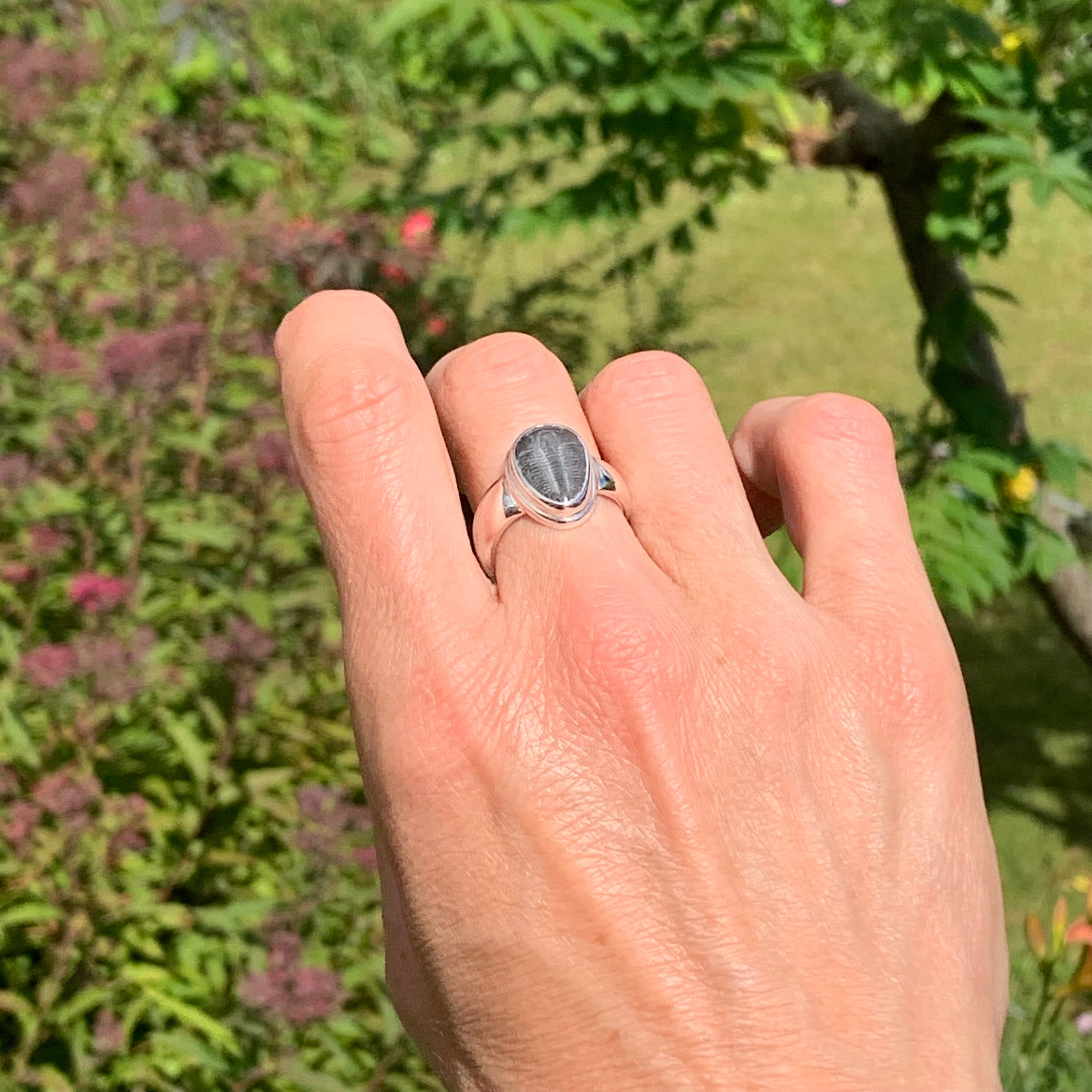 エルラシア・キングイ三葉虫化石リング、925スターリングシルバー製