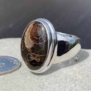 Puede incluir: Un anillo de plata con una piedra ovalada de amonita. La amonita es de color marr&oacute;n y blanco con un patr&oacute;n en espiral. El anillo est&aacute; engastado en una banda de plata con un borde elevado.