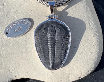 Large Elrathia Kingii Trilobite Fossil Pendant, Handmade in 925 Sterling Silver, Trilobite Jewellery