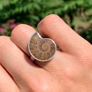 May include: A silver ring with a brown ammonite fossil set in the center. The ammonite has a spiral pattern and a dark brown center.