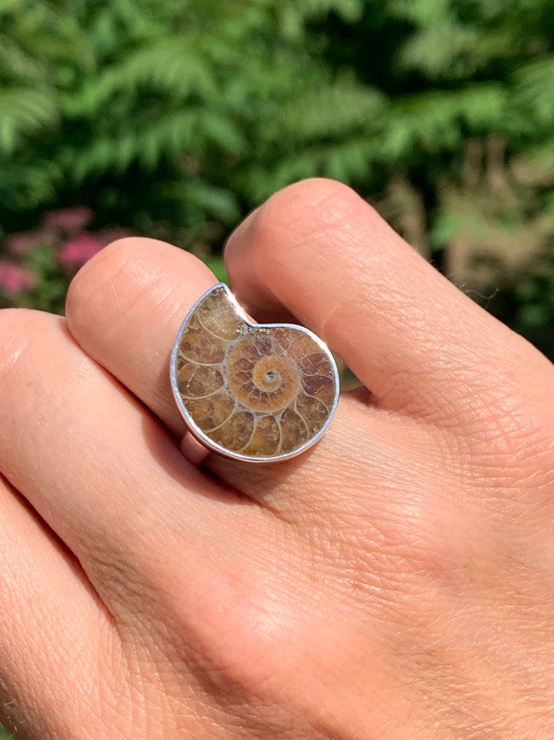May include: A silver ring with a brown ammonite fossil set in the center. The ammonite has a spiral pattern and a dark brown center.