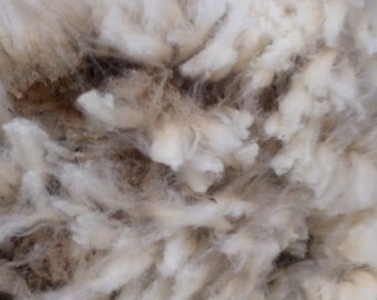 20foot container wool, Wool for insulation,M1 grade Sheep wool, Raw wool, Rovin wool, Bulk order sheep wool, Wholesale order wool