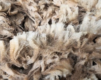 20foot container wool, Wool for insulation,M1 grade Sheep wool, Raw wool, Rovin wool, Bulk order sheep wool, Wholesale order wool