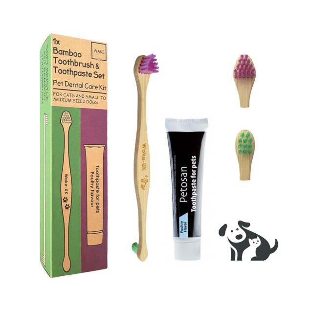 small dog toothbrush and toothpaste