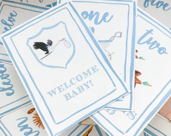 Boy Watercolor Milestone Cards - Blue Border | Month Milestone | Milestone Cards | Shower Gift | Baby Boy Milestone Cards | Monthly Cards