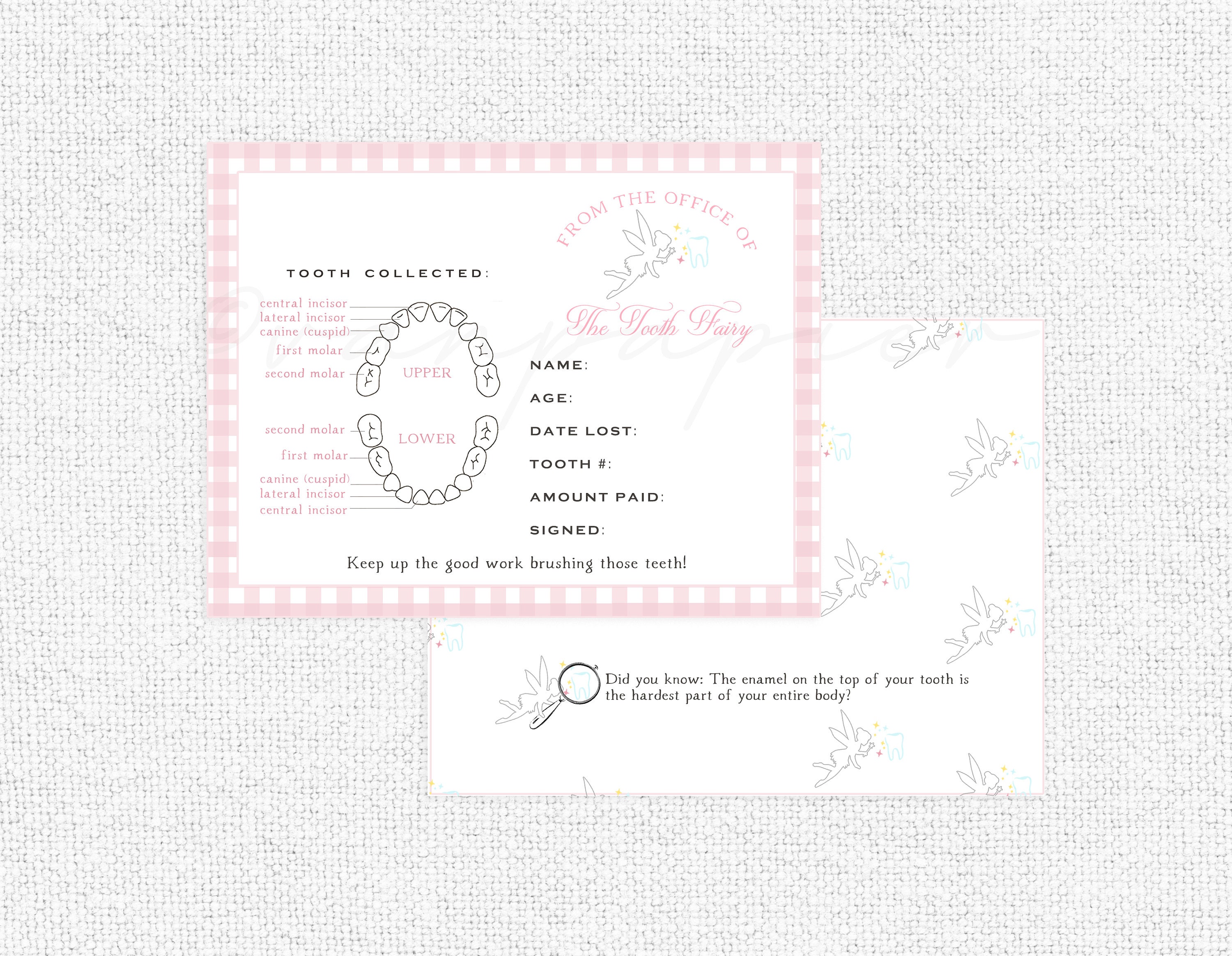 Lettera della Fatina dei Denti, accessorio natalizio per elfo, da usare tutto l'anno, modello di ricevuta personalizzato per la Fatina dei Denti, 4 stili + mini nota modificabile per tutto l'anno