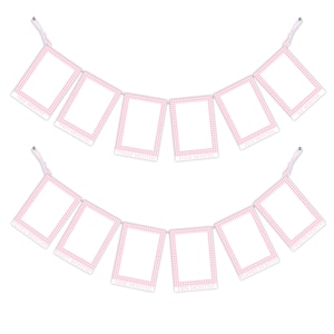 Pink Gingham Month to Month Photo Banner | First Birthday Banner | Birthday Pennant | Girl | First Birthday | Gingham Banner