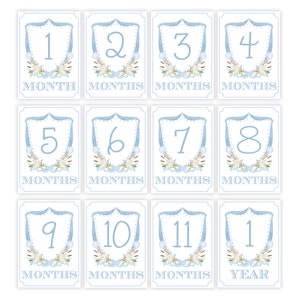 Jungen Aquarell Welpen Crest Meilenstein Set | Monatskarten | Baby-Dusche-Geschenk | Meilensteinkarten | Aquarell Jungen Wappen