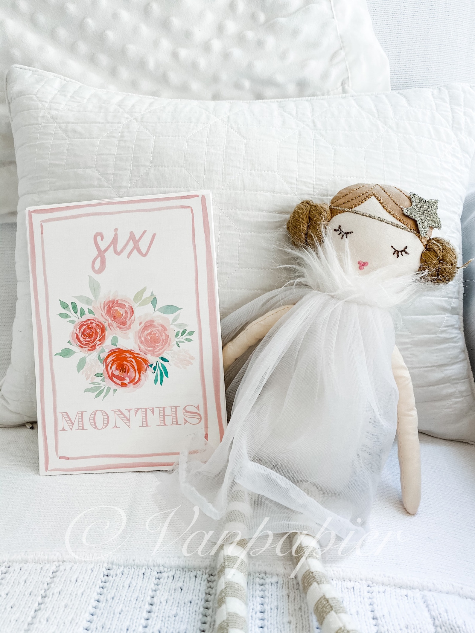 Girl Watercolor Milestone Cards - Southern Belle | Month Cards ...