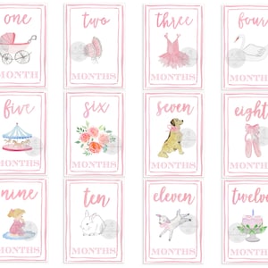 Tarjetas de hitos de acuarela para niñas - Southern Belle / Tarjetas de mes / Tarjetas de hitos / Baby Shower / Hitos del bebé / Regalo de ducha / Hitos