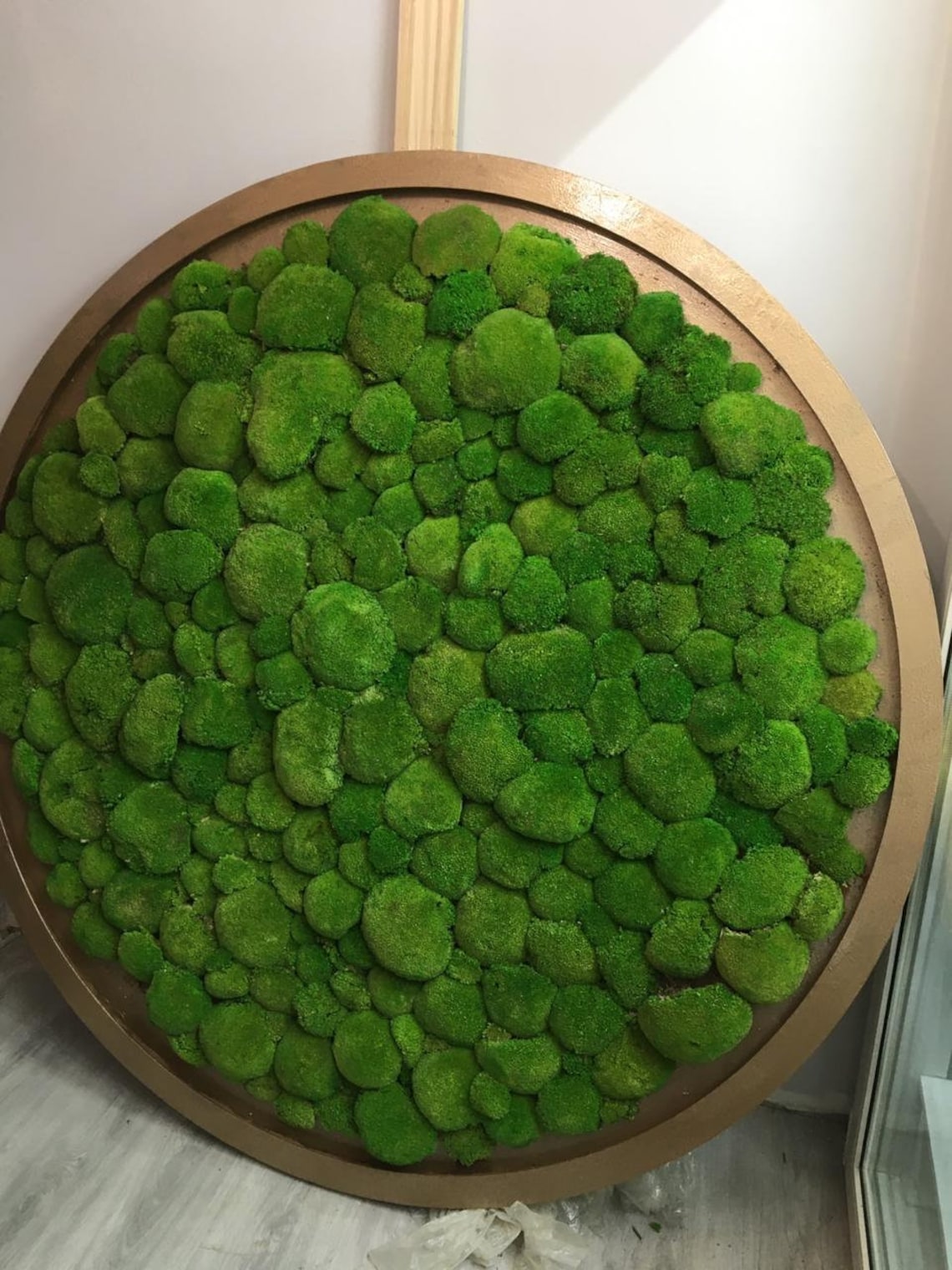 Moss Circle Moss Art Moss Wall Preserved Moss Green Wall Art Etsy