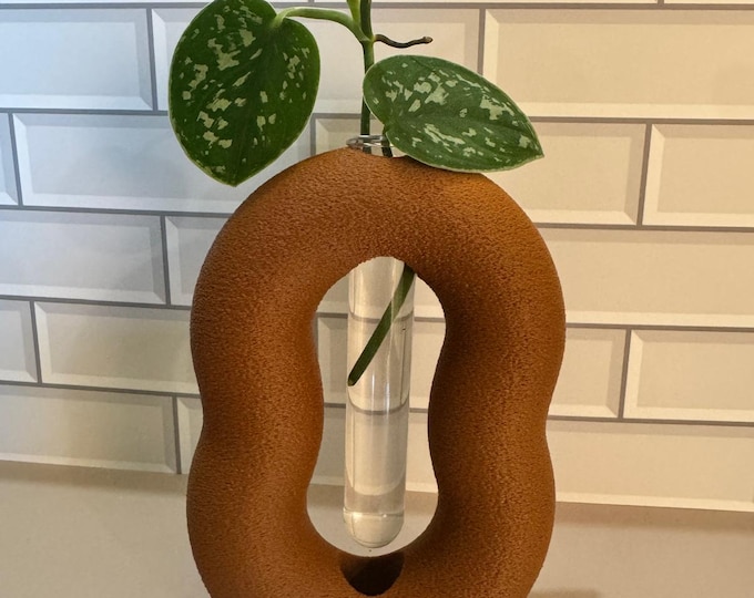 Ovalineo plant propagation vase