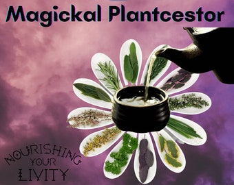 Magickal PLANTcestor Tea