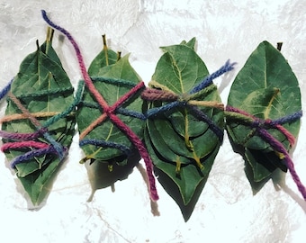 Magickal Bay Leaves