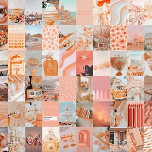 Aesthetic Peach and Teal Collage Kit