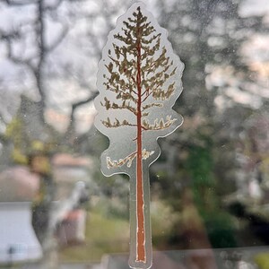 Pino contorto TRASPARENTE Albero - Pacific Northwest / Adesivo da viaggio, Adesivo in vinile per alberi, Adesivi per laptop dell'isola di Vancouver, BC