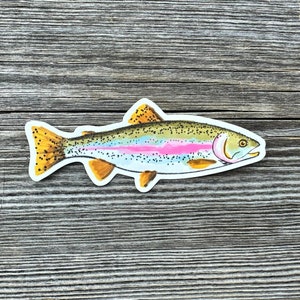 RAINBOW TROUT Sticker - Pacific Northwest / British Columbia Travel Sticker, Fish Vinyl, Fishing, Canada, stocking stuffer