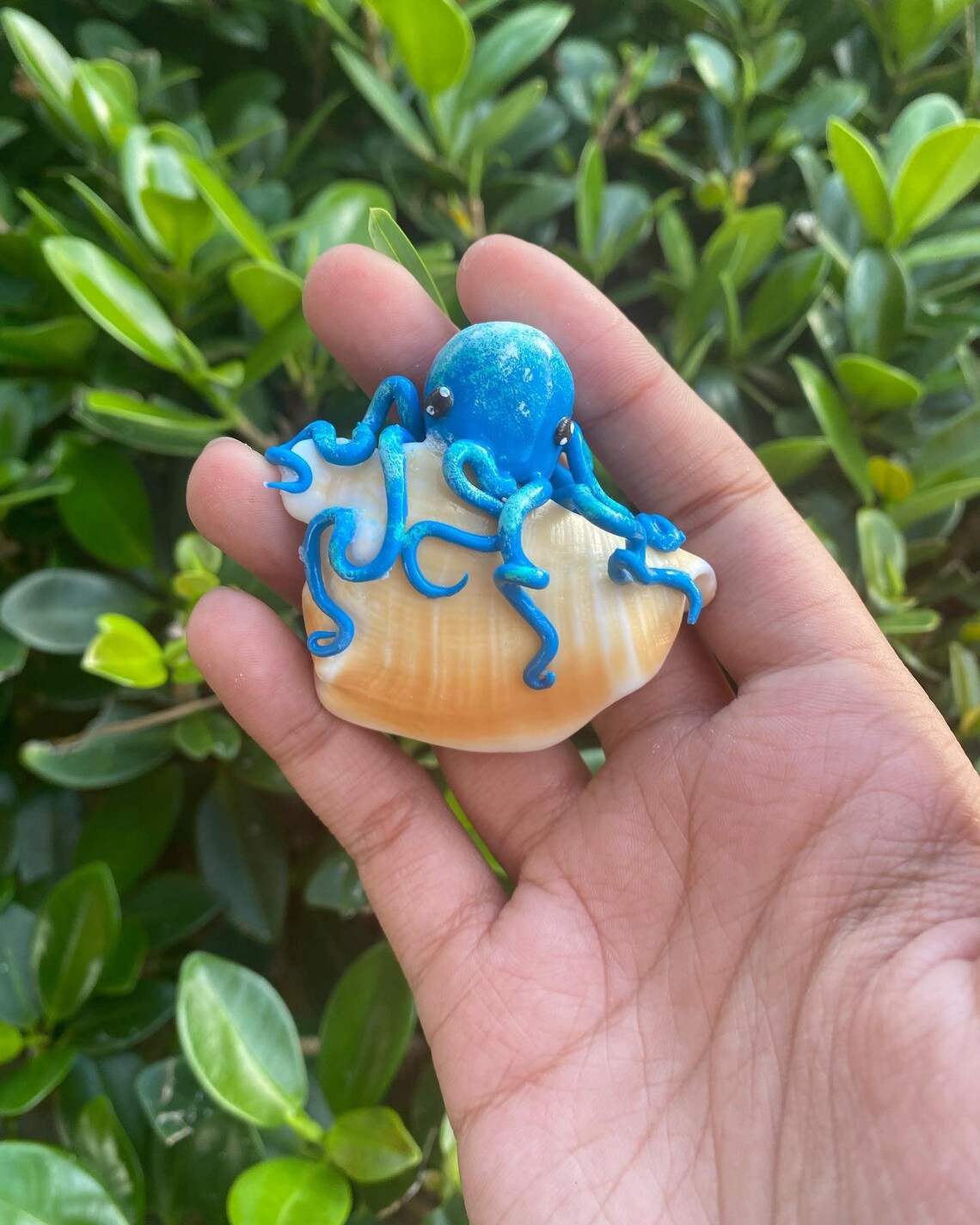 Octo Buddy Shell Sculpture | Etsy