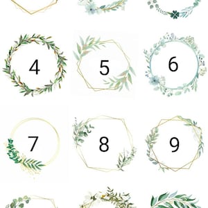 May include: Twelve gold-rimmed frames with green foliage and white flowers. Each frame is numbered from 1 to 12.